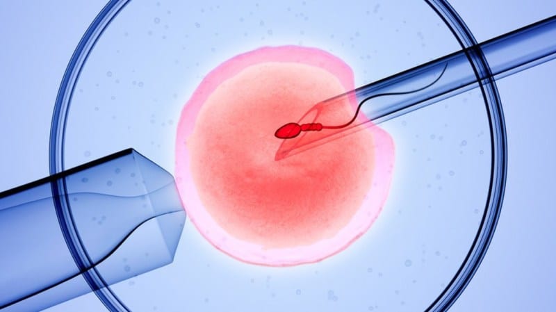 Fertilizarea in vitro (FIV): scop, rata de succes, stadii