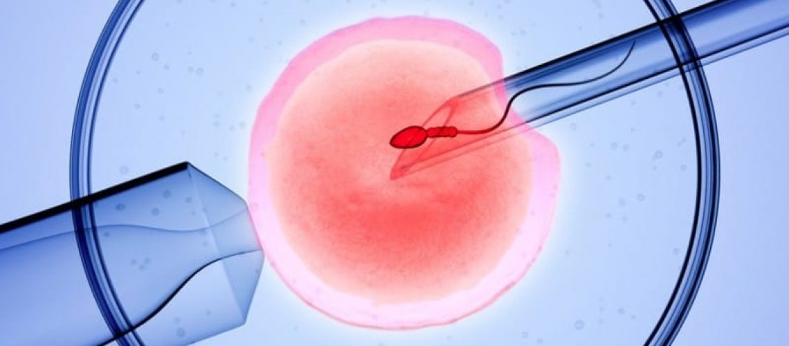 3D rendering of the icsi(intracytoplasmic sperm injection) process - in which a single sperm is injected directly into an egg